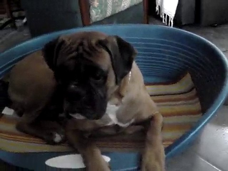 Troppppppp mimiiiiiiii