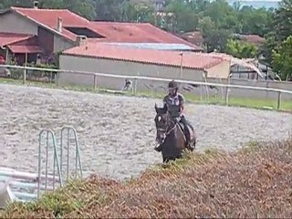 Cheval a vendre Qualipso