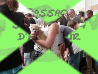 Expo Enzia 1ère excellent