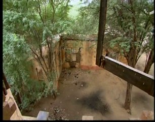 Gardiens des Trésors d'Afrique 7/7