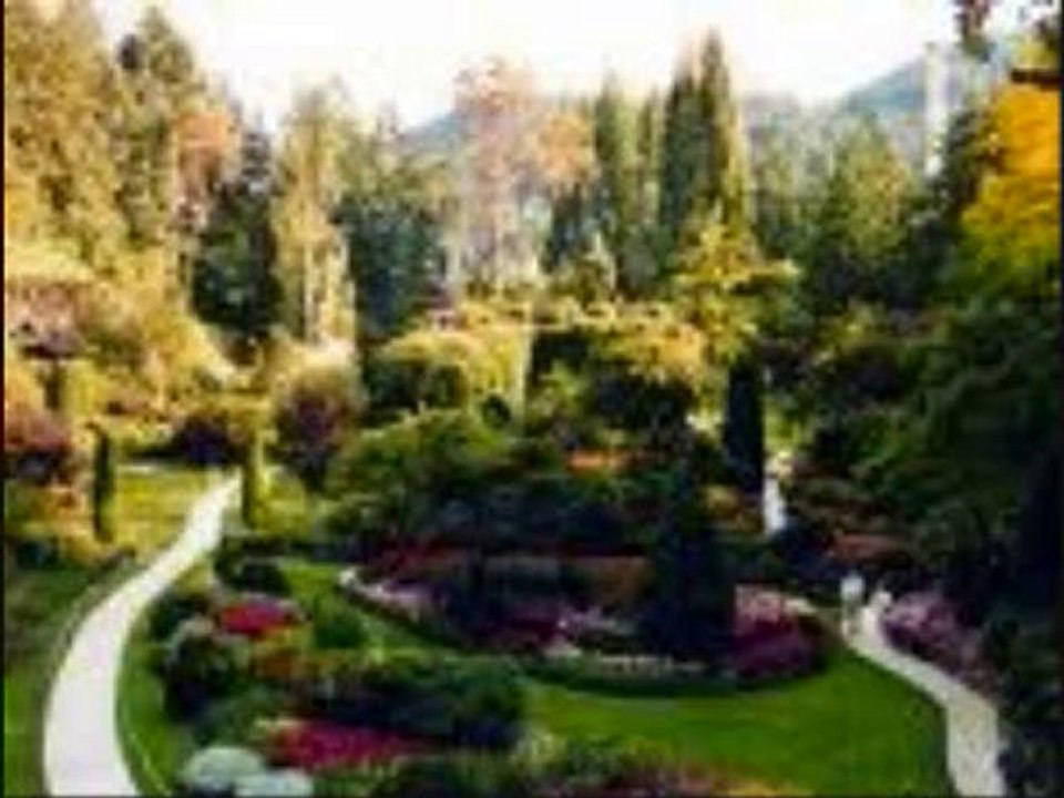Le jardin de mes chagrins