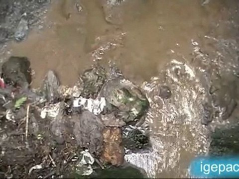 Ballade sur les bords de Seine : Evry - Corbeil-Essonne