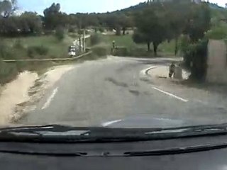 Rallye plan de la tour 2010