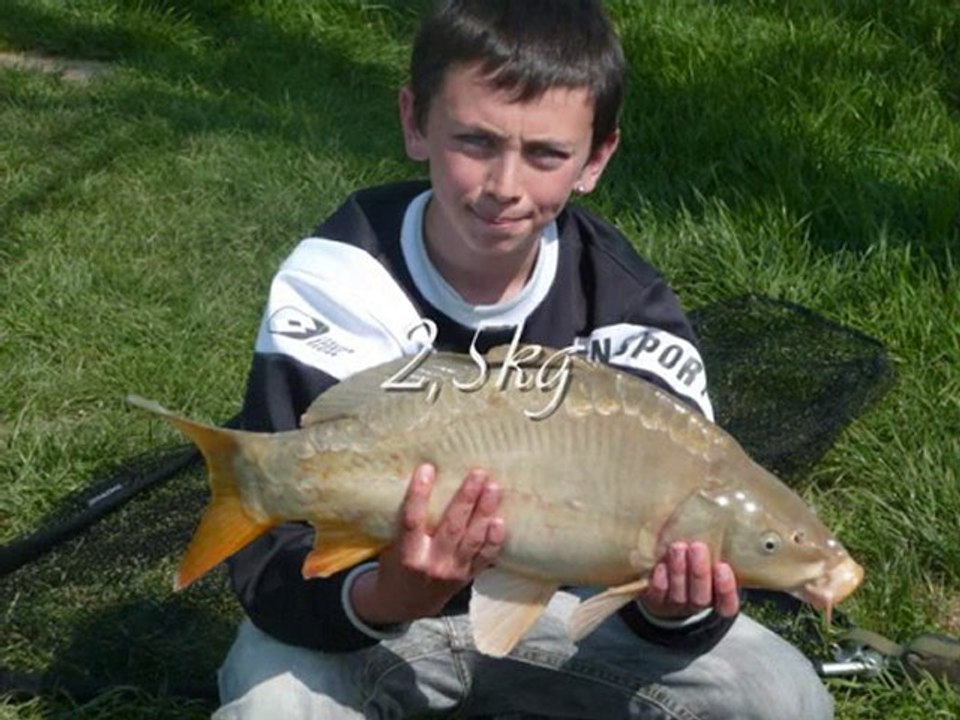 peche de la carpe