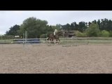 Show Jumping - Thoroughbred floats - New Zealand Episode 5