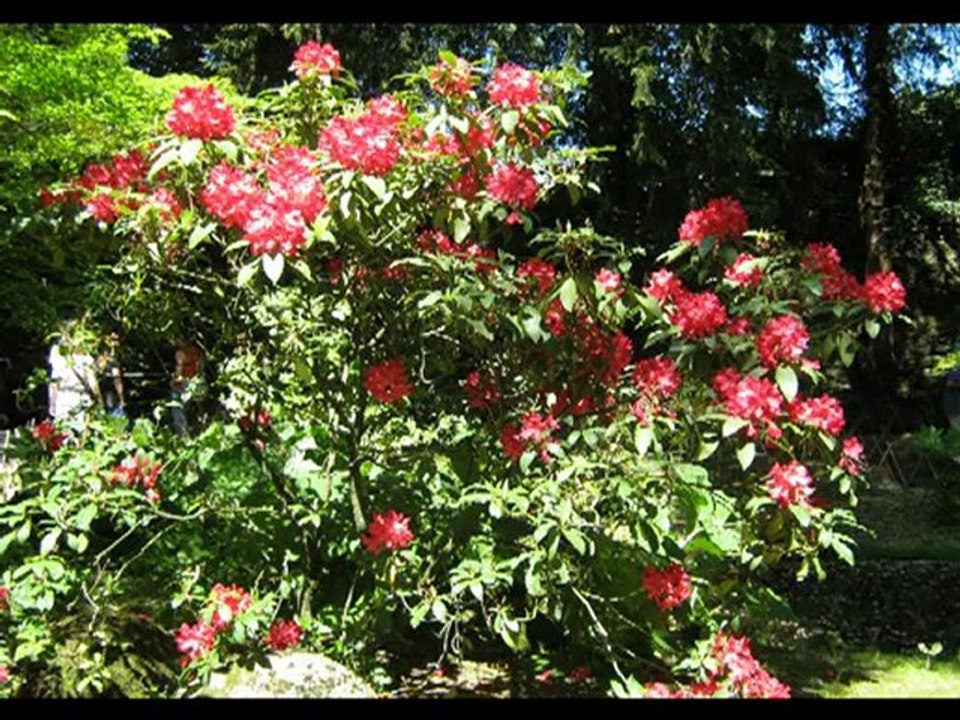 le parc oriental de maulèvrier .