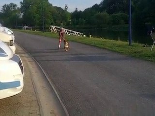 Ma soeur essai ses roller Mdr