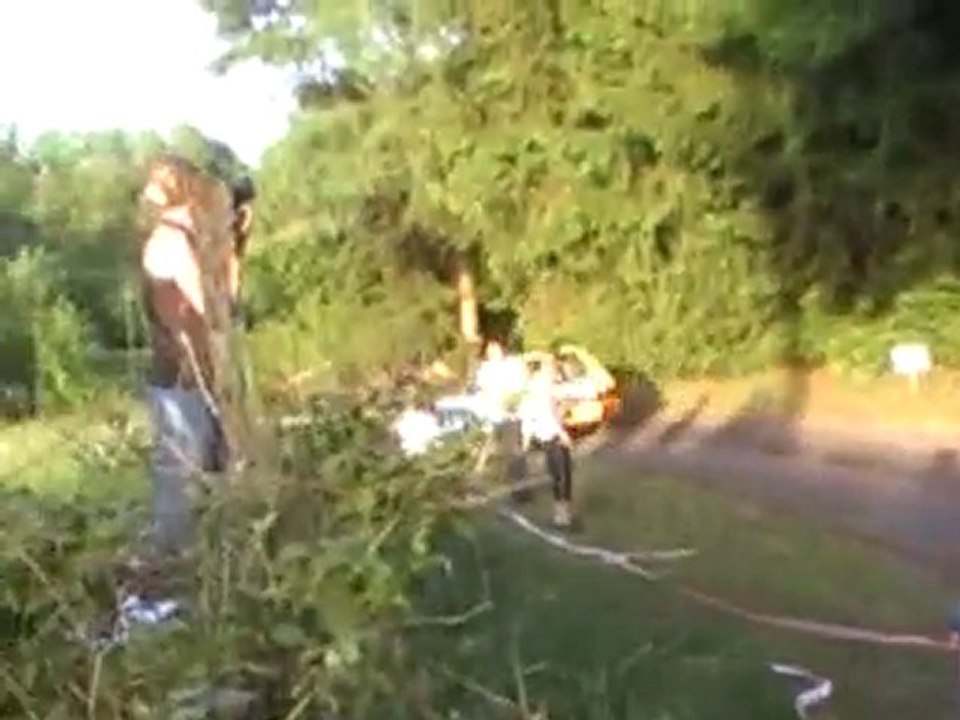 Rallye de la Luronne 2010