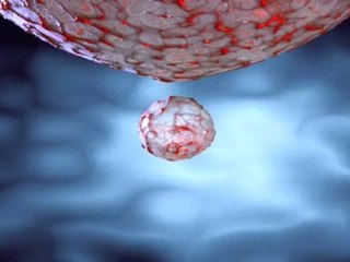 SPHERES -  rendu test C4D