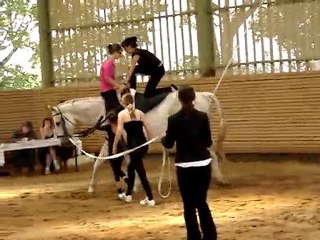concours voltige
