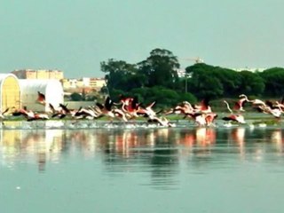 O Rio em perigo-Médio