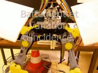 Isir Oiseau mécanique cachan robotique aile battante
