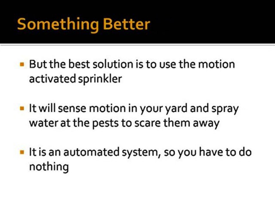Scarecrow motion activated sprinkler
