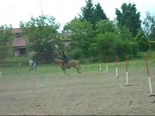 Pony Games mangalix 16 mai 2010 Brigade des stup's