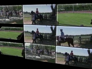 Réunion du 29 mai 2010 - hippodrome de Cavaillon