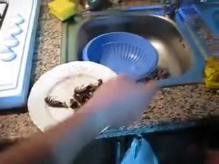 ßyn. upload DeRYa DaVRaN