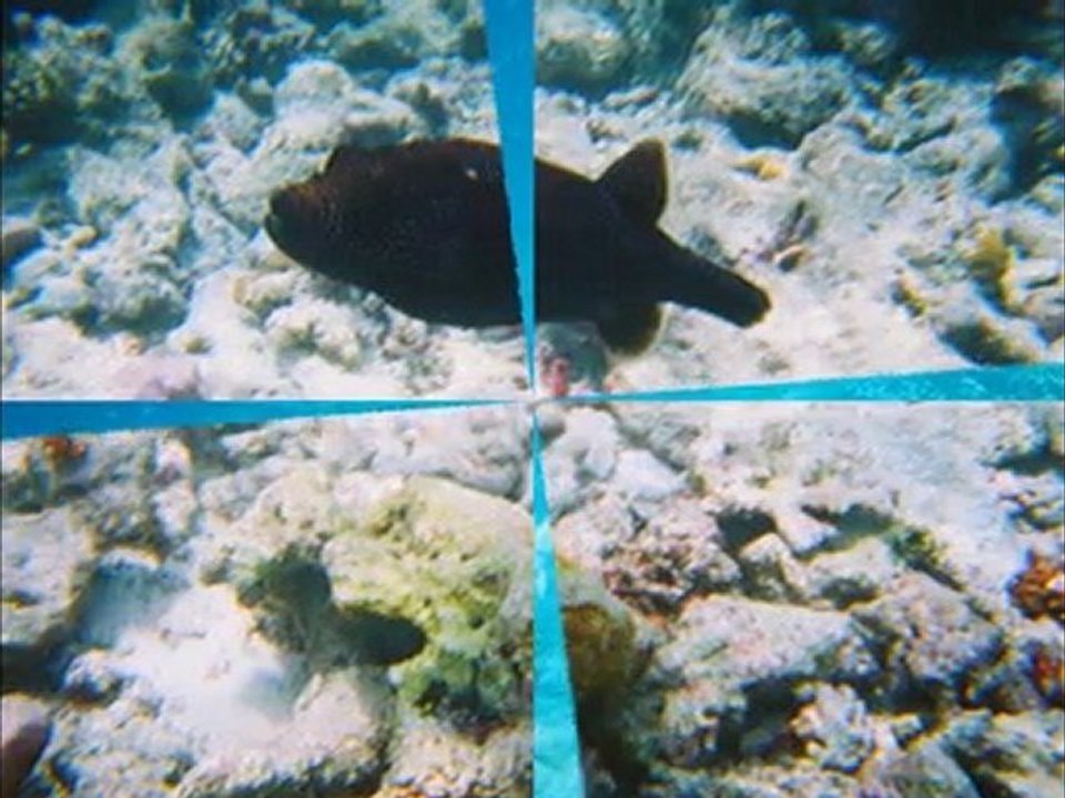 mldives