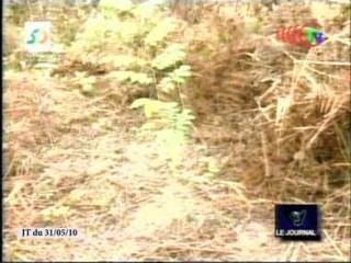 L’impact des changements climatiques à Sibiti