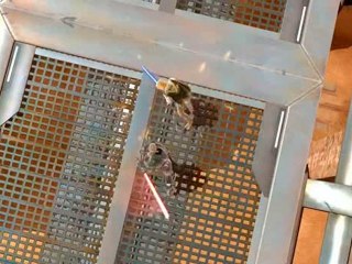 Star Wars The Old Republic - Présentation de la classe Sith