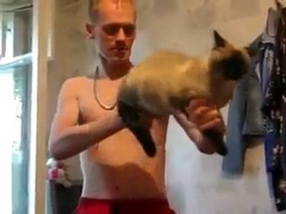 Usa il gatto come mitragliatrice