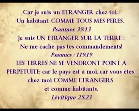 Apocalypsis 33 - Le Livre de Vie 2 -