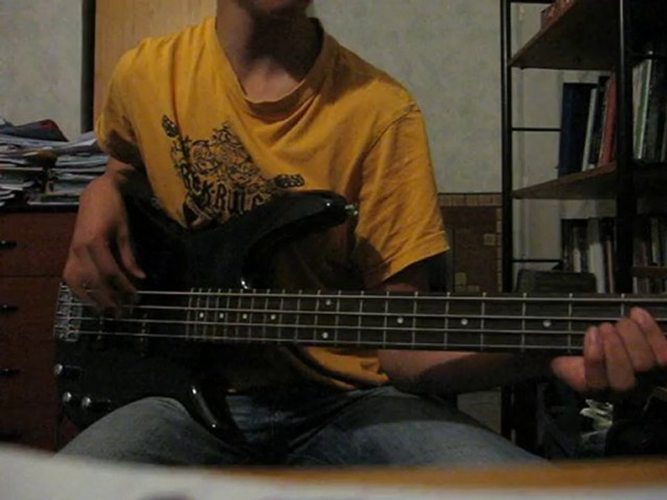 Blink 182 - Adam's song [bass cover]