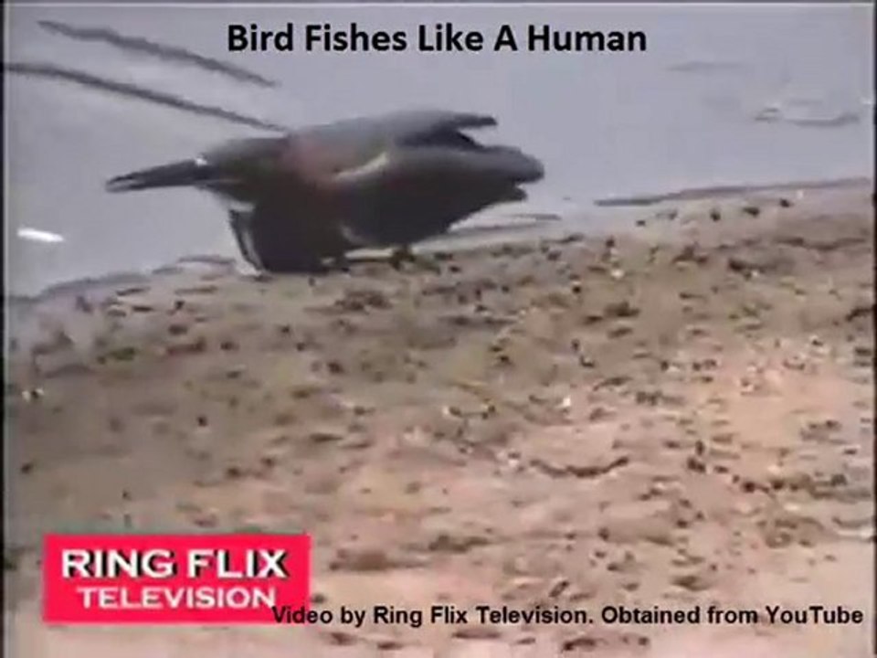 Miracle Series - BigGyan Cloud eLearning