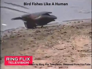 Miracle Series - BigGyan Cloud eLearning