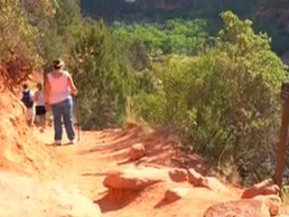 Phoenix Apartments For Rent - Find Apartments in Phoenix, AZ