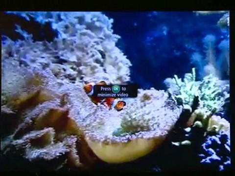 Demo: YouTube on FiOS TV