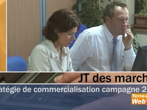 JT des marchés stratégie de commercialisation campagne 2010