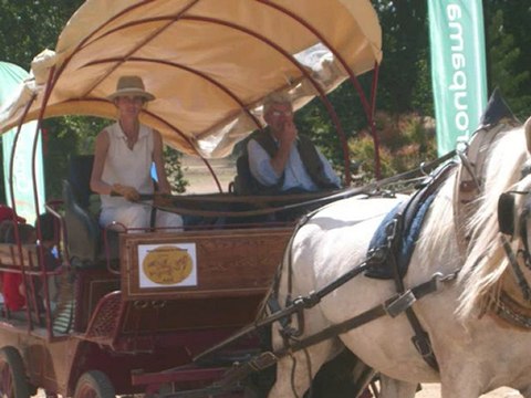 Les Calèches de l'Etang