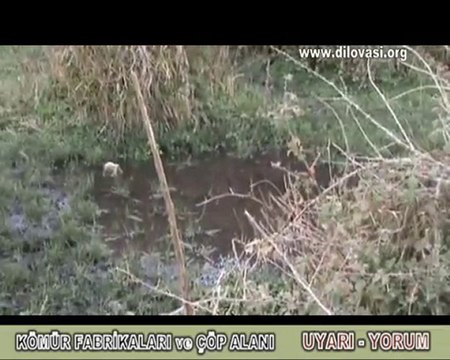 UYARI - YORUM _ DİLOVASI KÖMÜRCÜLER SİTESİ ve ÇÖP ALANI
