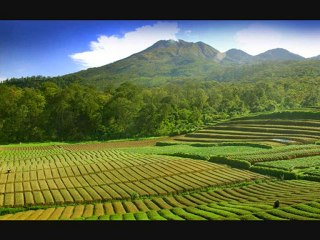 Nujabes - Aruarian Dance