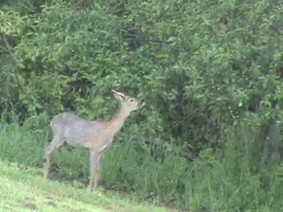 Petit déj pour tous ;-)