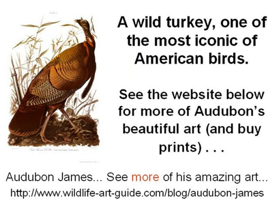 Audubon, James