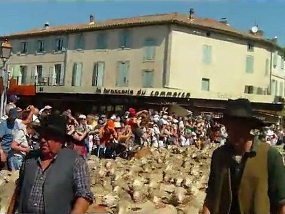 La Fête de la TRANSHUMANCE à Saint-Rémy-de-Provence