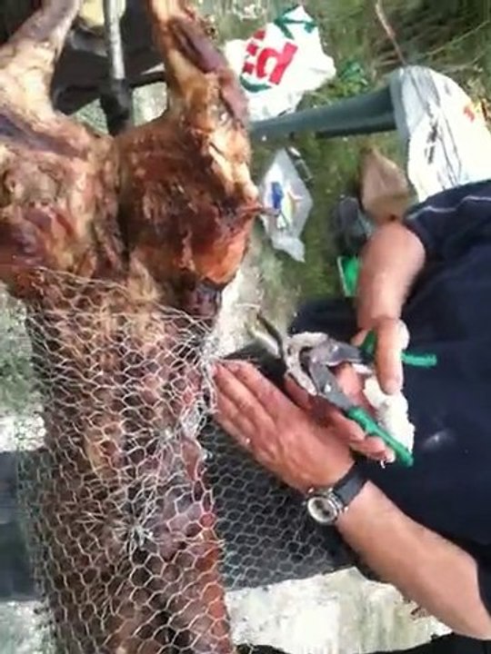 weekend airsoft avec méchoui