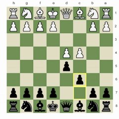 Chess.com - Last Round Play; vs. Super GM Loek Van Wely