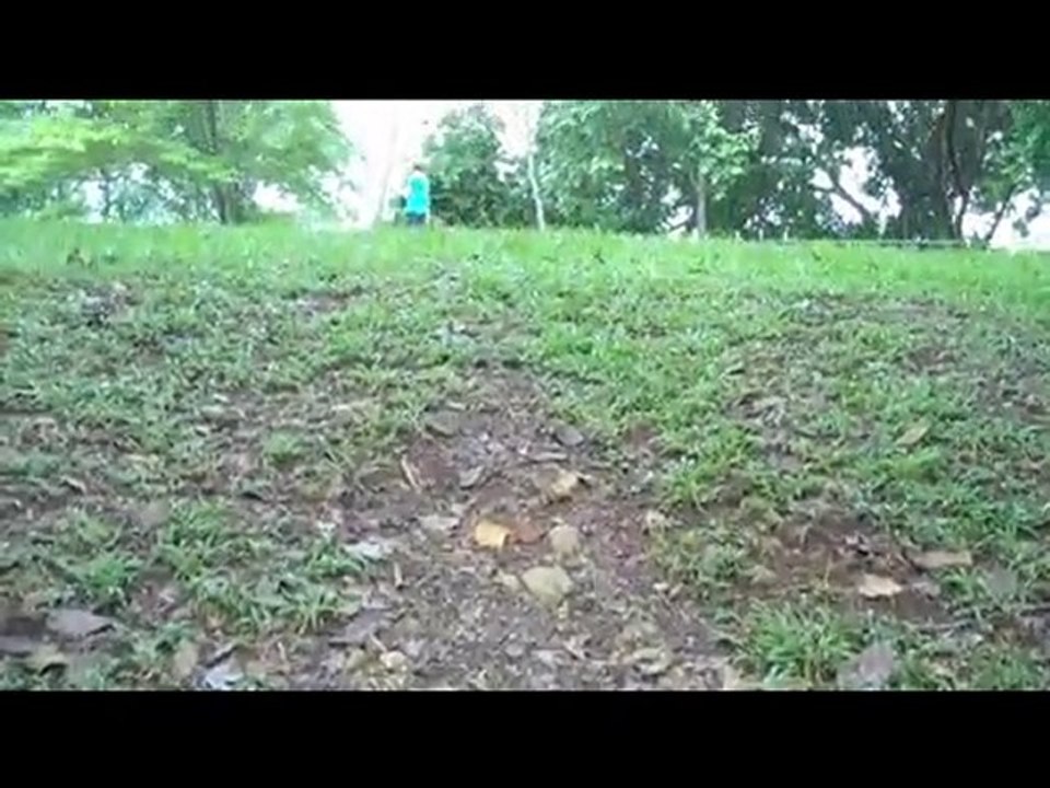 Panama Travel:  Parque Metropolitano