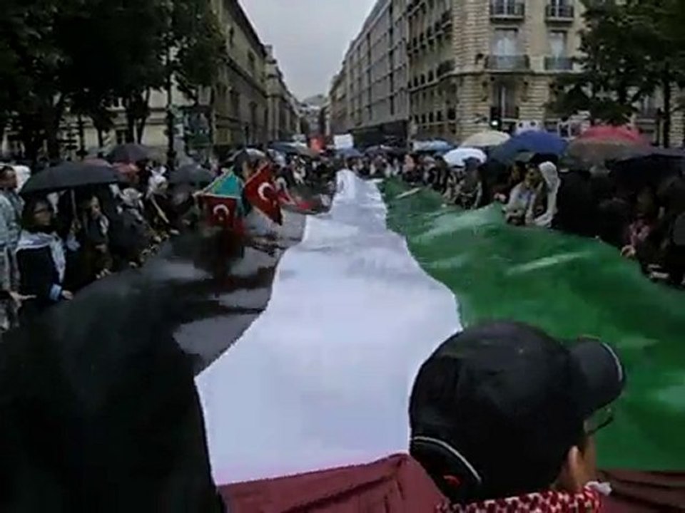 Manifestation pro-palestinienne à Paris-soutien au drapeau-