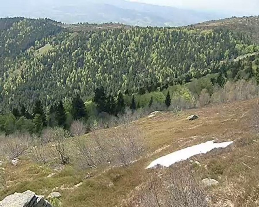 congère montagne de monthiallier 1558m (25.05.2010)