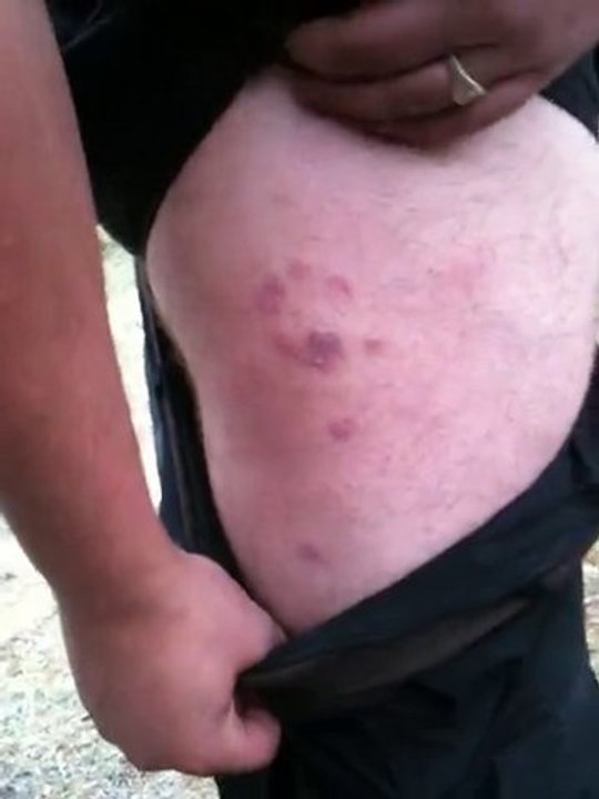 weekend airsoft avec méchoui