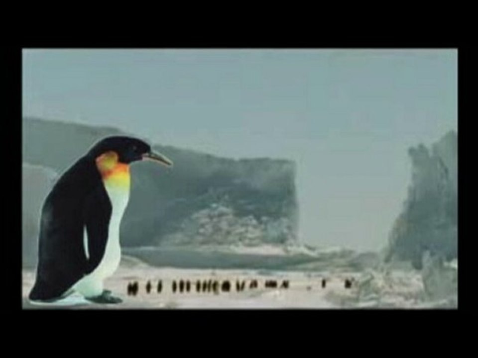pingouin