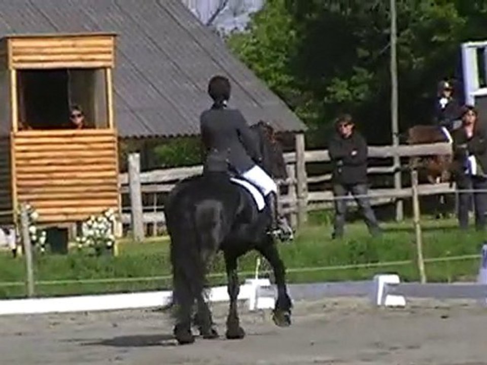 Condor de Catel reprise de dressage