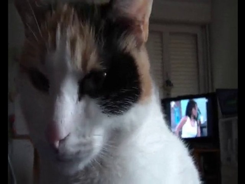 Nougat