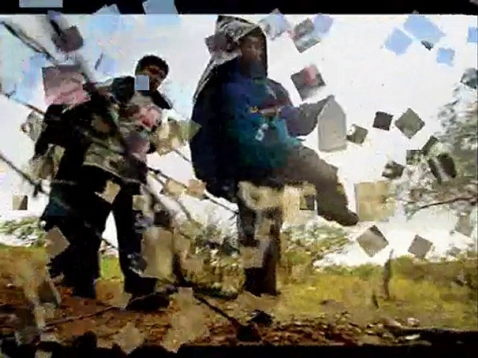 Political Immigration