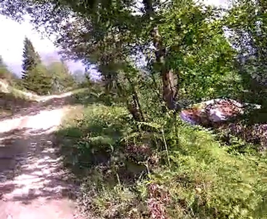 Video-0001