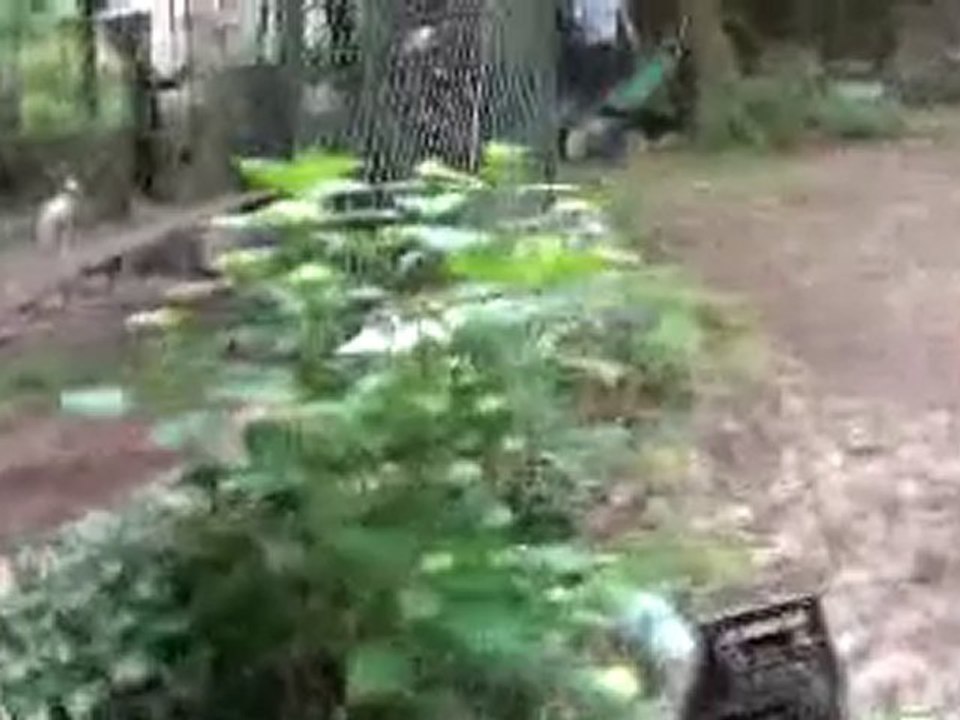 20100529155325