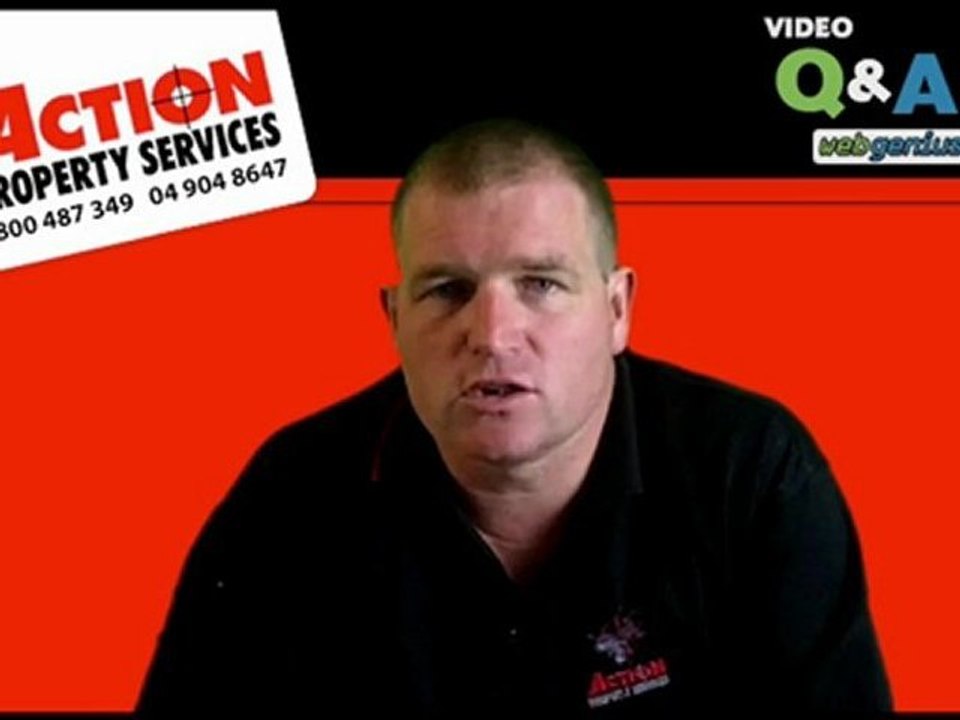 Cockroach pest control Wellington Kapiti Coast, Cockroach c